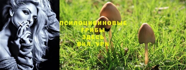 каннабис Богданович