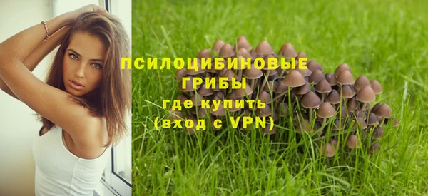 jwh Богородицк