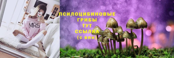 кристаллы Богородск